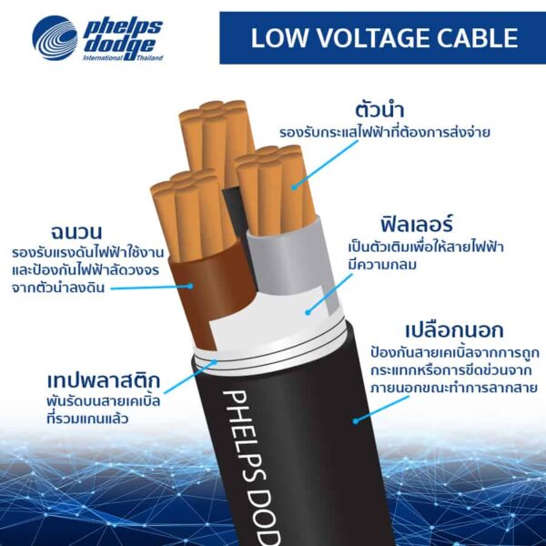 โครงสร้างสายไฟฟ้า LowVoltage สายไฟฟ้า
