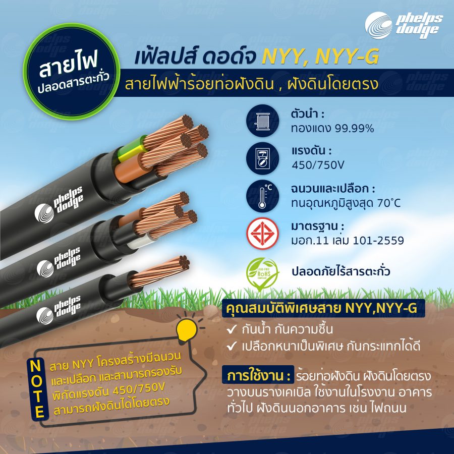 Content 03 สายฝังดิน nyy